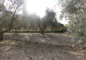 Terreno no urbanizable en venta en Órgiva ref: TR104806 foto