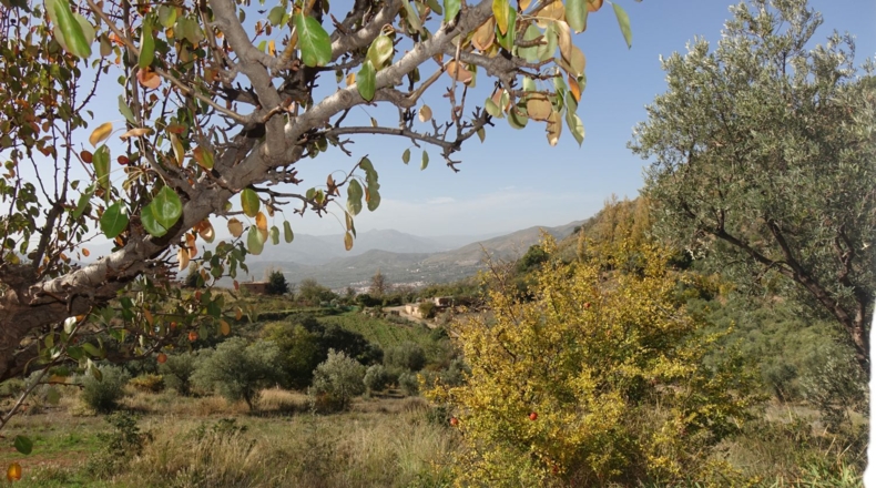 Granada - Órgiva - 48319m2