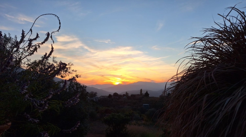 Granada - Órgiva - 48319m2