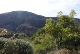 Capilerilla 3716&nbsp;m²