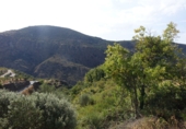 Finca rústica en venta en Capilerilla ref: TR209516 foto