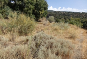 Capilerilla 3716&nbsp;m²