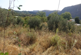 Capilerilla 3716&nbsp;m²