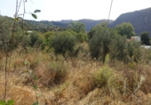 Finca rústica en venta en Capilerilla ref: TR209516 foto
