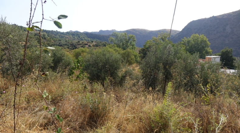 Granada - Yegen - 3716m2