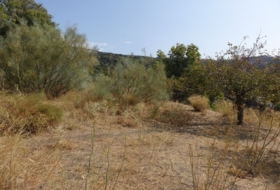 Capilerilla 3716&nbsp;m²