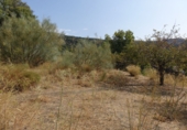 Finca rústica en venta en Capilerilla ref: TR209516 foto