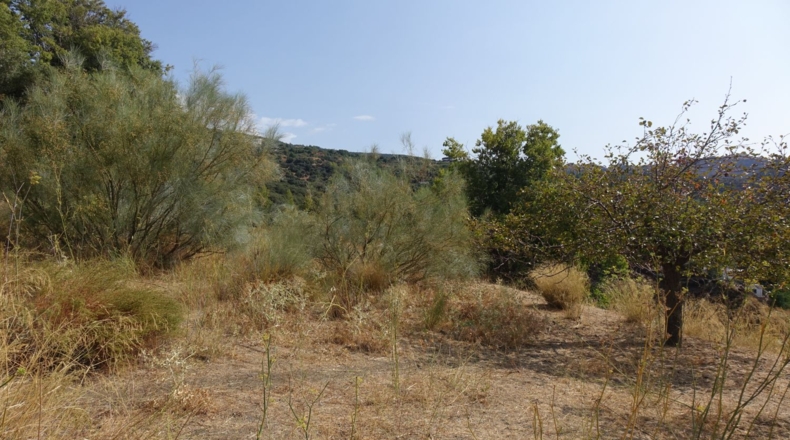 Granada - Yegen - 3716m2