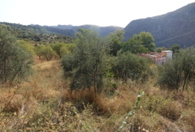 Capilerilla 3716&nbsp;m²