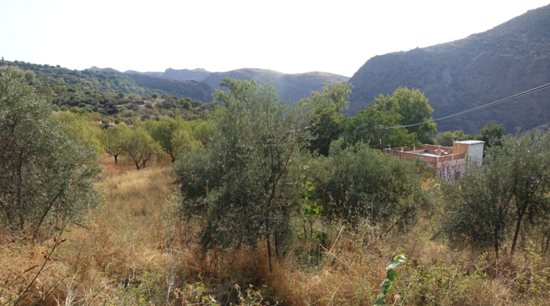 Granada - Yegen - 3716m2