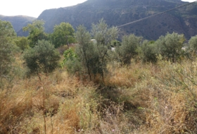 Capilerilla 3716&nbsp;m²