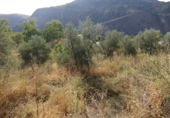 Finca rústica en venta en Capilerilla ref: TR209516 foto