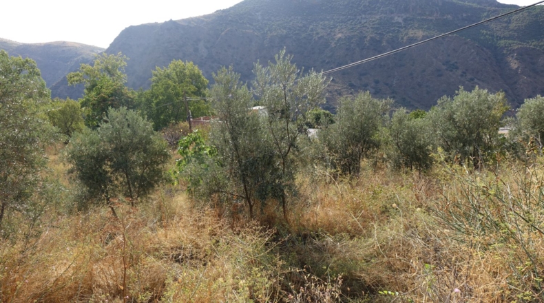 Granada - Yegen - 3716m2
