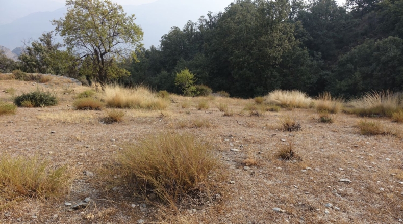Granada - Pampaneira - 100m2