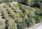 Finca rústica en venta en Órgiva ref: TR278031 foto
