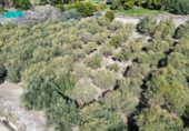 Finca rústica en venta en Órgiva ref: TR278031 foto