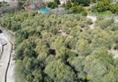 Finca rústica en venta en Órgiva ref: TR278031 foto
