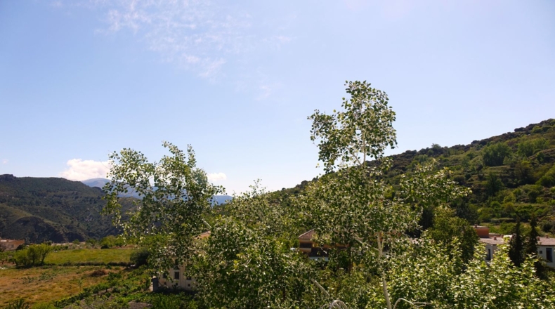 Granada - Capilerilla - 230m2