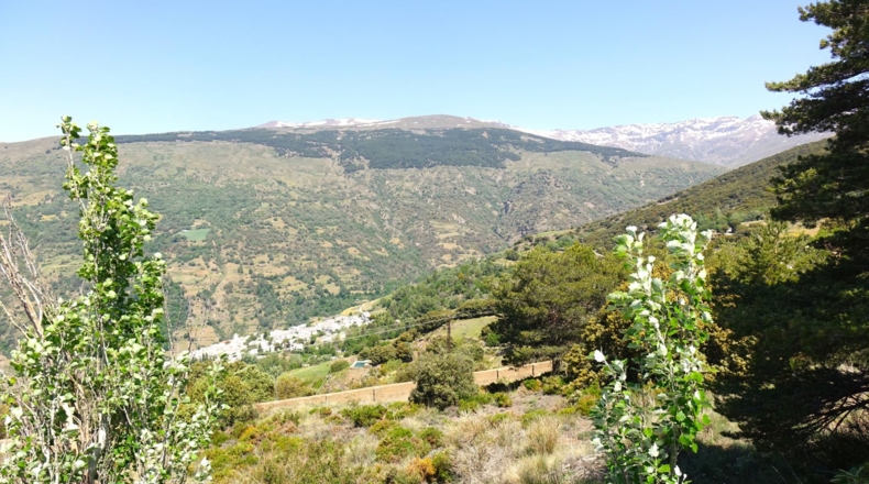 Granada - Capileira - 5808m2