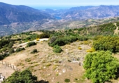 Xalet independent amb terreny en venda a Cáñar ref.: TR264599 foto