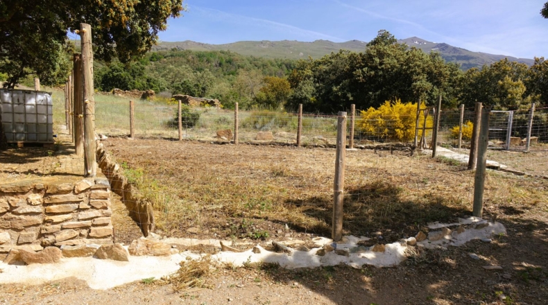 Granada - Cáñar - 9542m2
