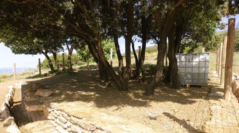 Granada - Cáñar - 9542m2