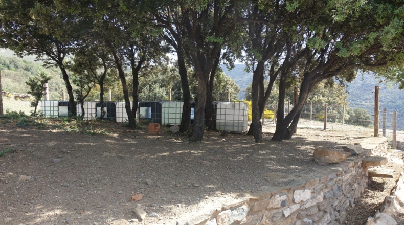 Granada - Cáñar - 9542m2