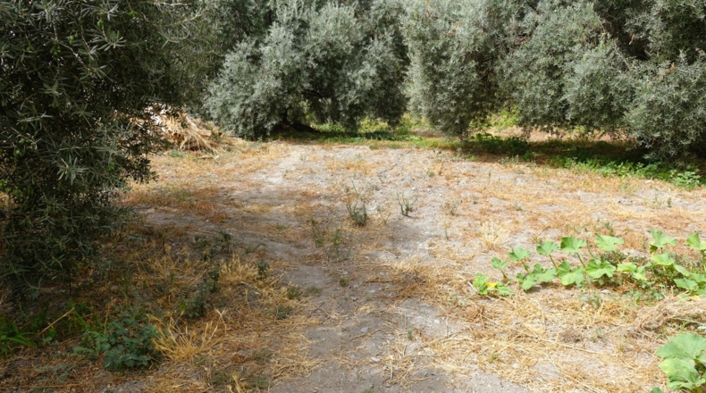 Гранада - Órgiva - 3442m2