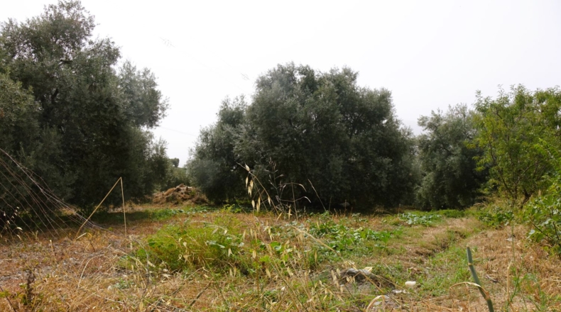 Гранада - Órgiva - 3442m2