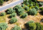 Terreno no urbanizable en venta en Carataunas ref: TR335933 foto
