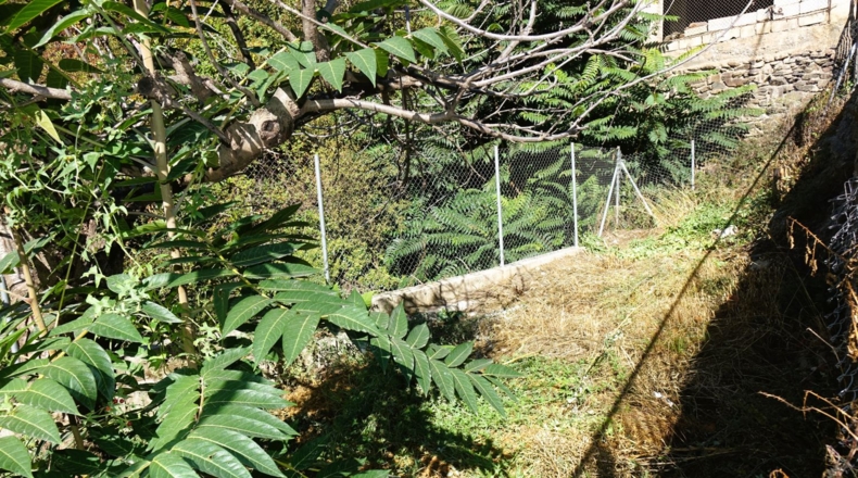 Granada - Capilerilla - 172m2