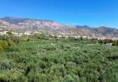 Chalet independiente con terreno en venta en Órgiva ref: TR344807 foto