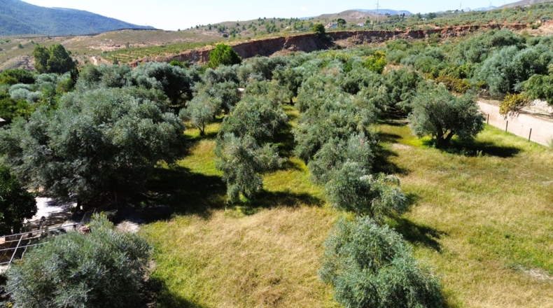 Granada - Órgiva - 5000m2