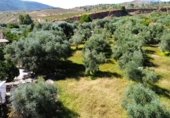 Chalet independiente con terreno en venta en Órgiva ref: TR344807 foto