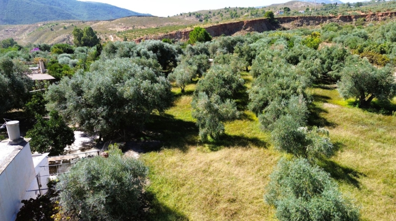 Granada - Órgiva - 5000m2