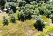 Chalet independiente con terreno en venta en Órgiva ref: TR344807 foto