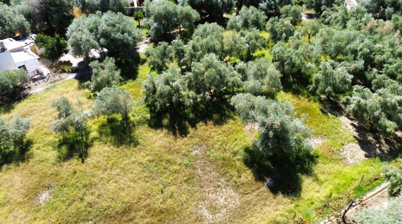 Granada - Órgiva - 5000m2