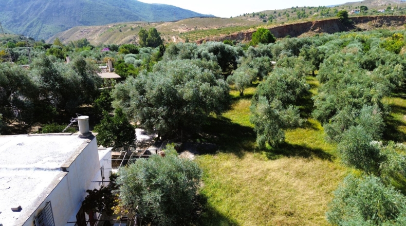 Granada - Órgiva - 5000m2