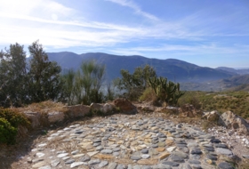 Cáñar 2591&nbsp;m²