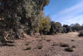 Pórtugos 6700&nbsp;m²