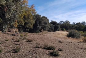 Pórtugos 6700&nbsp;m²