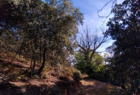 Pórtugos 6700&nbsp;m²