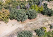 Terreno no urbanizable en venta en Pórtugos ref: TR360732 foto