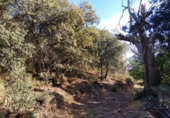 Terreno no urbanizable en venta en Pórtugos ref: TR360732 foto