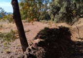 Terreno no urbanizable en venta en Pórtugos ref: TR360732 foto