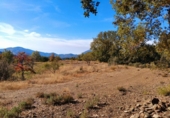 Terreno no urbanizable en venta en Pórtugos ref: TR360732 foto