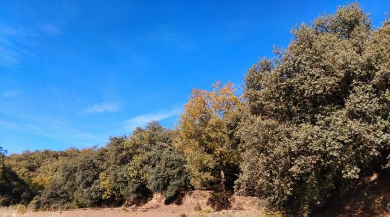 Гранада - Pórtugos - 6700m2