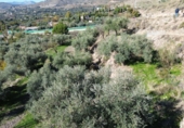 Non-developable land for sale in Órgiva ref: TR369253 photo