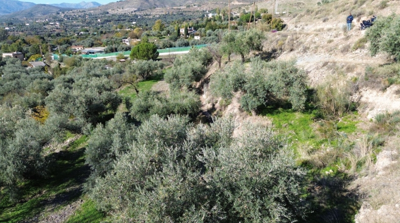 Granada - Órgiva - 7949m2