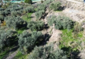 Non-developable land for sale in Órgiva ref: TR369253 photo